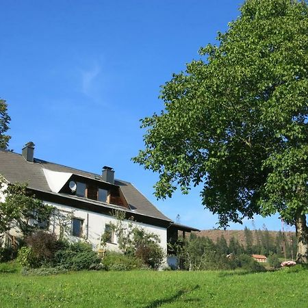 Urlaub Wie Frueher Bei Oma Hermagor-Pressegger See Exteriér fotografie